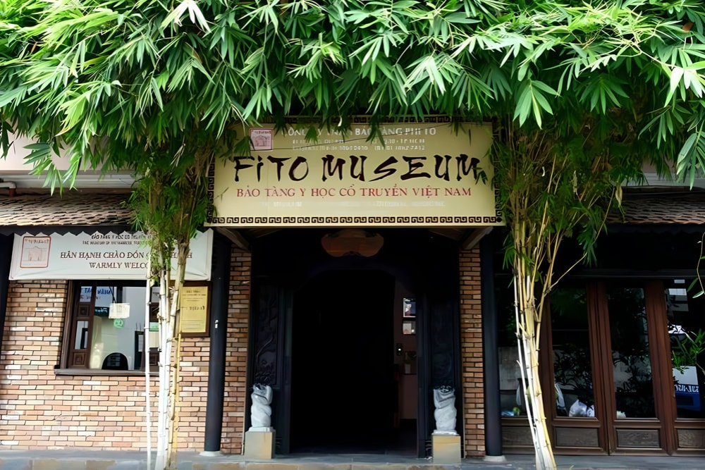 A lush bamboo grove frames the entrance, evoking memories of Vietnamese villages and traditional herbal medicine
